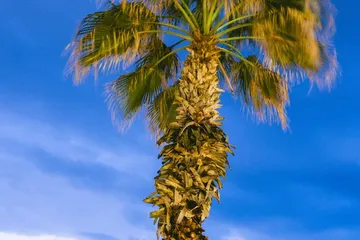 Antalya (Turkey): Non-stop roundtrip flight from Vienna for 18 Euros