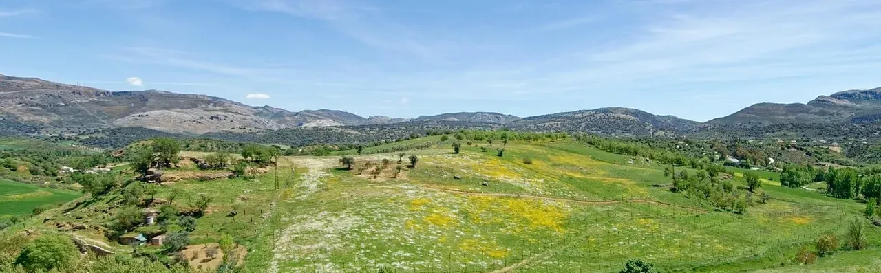 Malaga