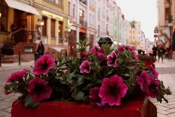 Kiev: Non-stop round-trip flight from Cyprus for 20 Euros