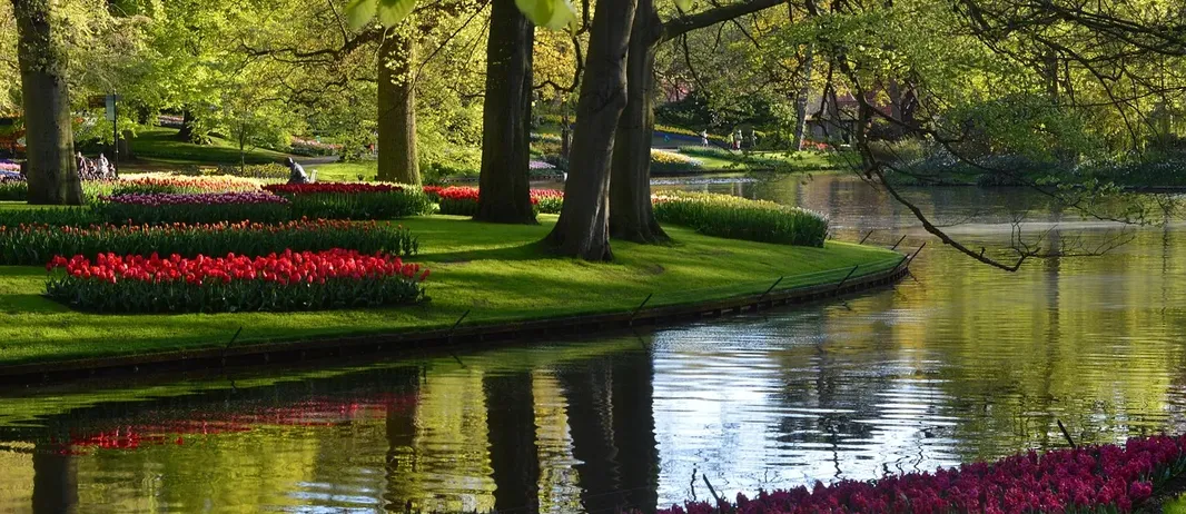 Screensot flight ticket Amsterdam - Dublin – Amsterdam