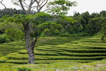 Know better the island of Azores (Portugal) by Virtual tour