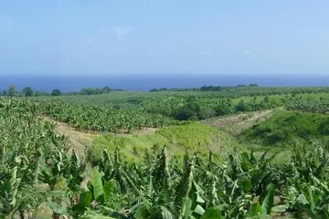 Know better the Caribbean country of Martinique by Virtual tour