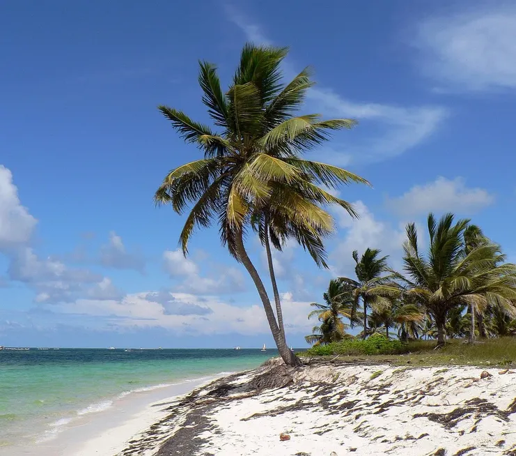 Screnshot Copenhagen Puntacana ticket