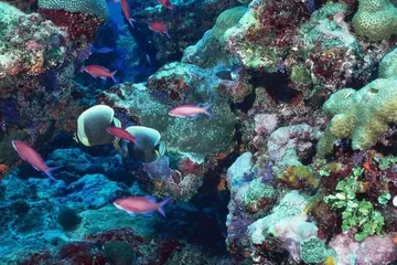 Know better the city of Hurghada (Egypt) by Virtual tour