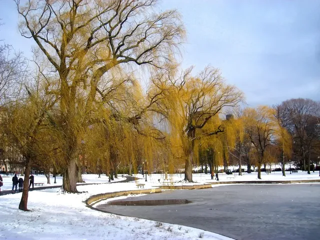Know better the city of Boston (United States) by Virtual tour
