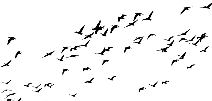 Screenshot Stuttgart Split ticket