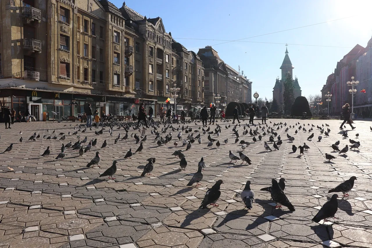Timisoara