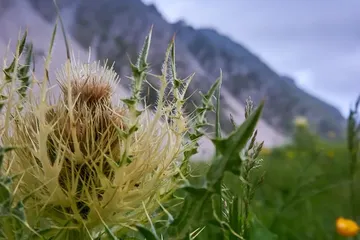 Know better the city of Innsbruck (Austria) by Virtual Tour
